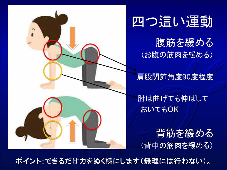 講演採録 寝たきり防止の脊椎体操 岩﨑義仁 理学療法士 御所南リハビリテーションクリニック